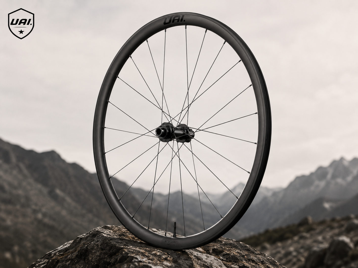 Roda de carbono UAI para Mountain Bike